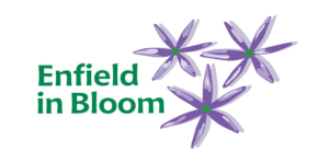 Enfield in bloom